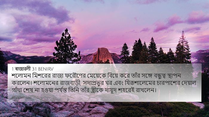 1 ৰাজাৱলী 3:1 BENIRV Bible Verse Image