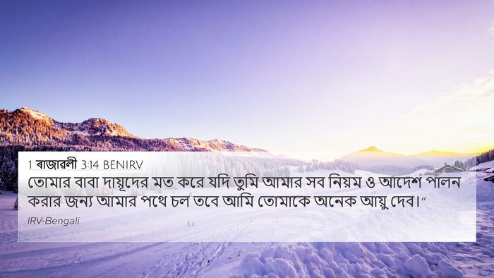 1 ৰাজাৱলী 3:14 BENIRV Bible Verse Image