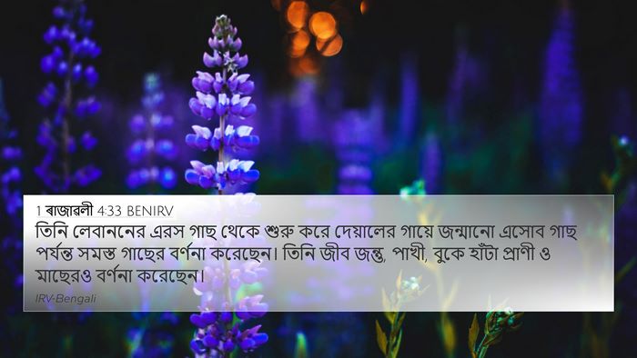 1 ৰাজাৱলী 4:33 BENIRV Bible Verse Image