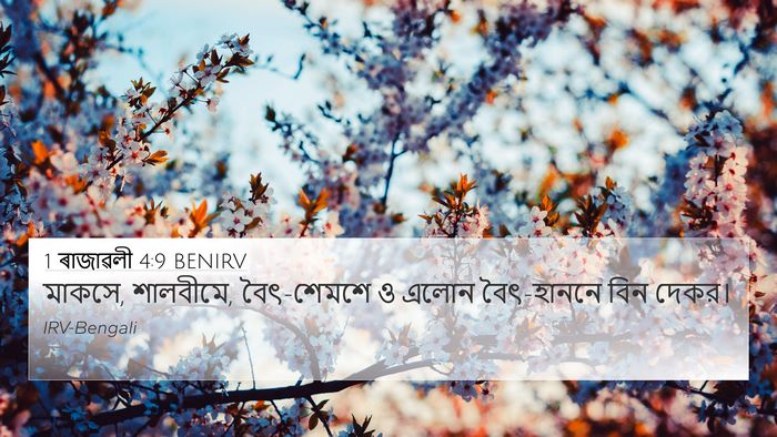 1 ৰাজাৱলী 4:9 BENIRV Bible Verse Image