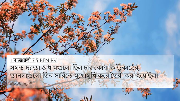 1 ৰাজাৱলী 7:5 BENIRV Bible Verse Image