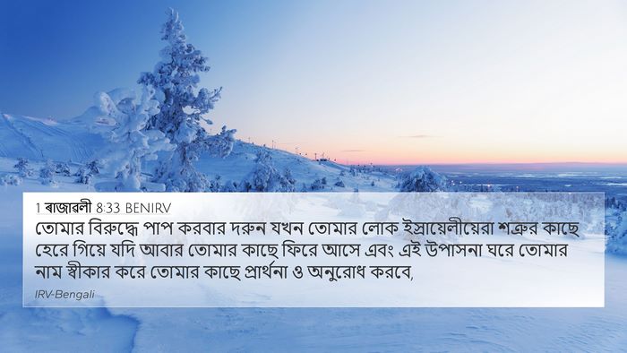 1 ৰাজাৱলী 8:33 BENIRV Bible Verse Image
