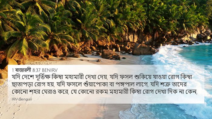 1 ৰাজাৱলী 8:37 BENIRV Bible Verse Image
