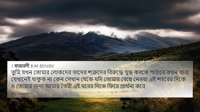 1 ৰাজাৱলী 8:44 BENIRV Bible Verse Image