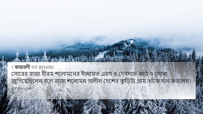 1 ৰাজাৱলী 9:11 BENIRV Bible Verse Image