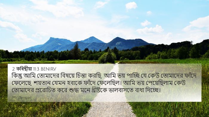 2 কৰিন্থীয়া 11:3 BENIRV Bible Verse Image