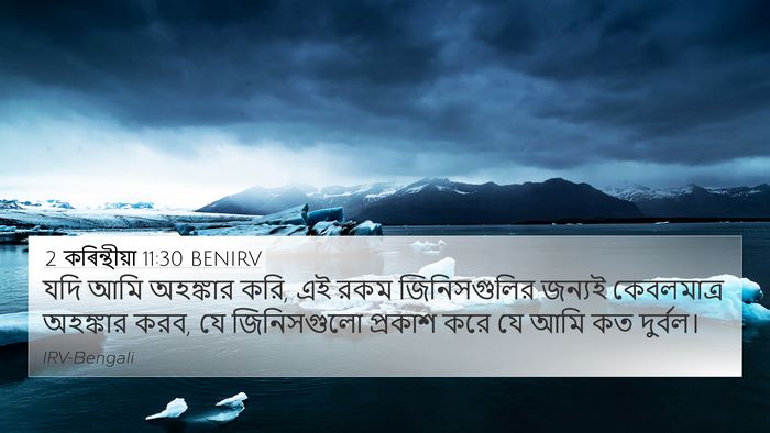 2 কৰিন্থীয়া 11:30 BENIRV Bible Verse Image