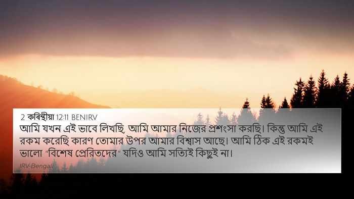 2 কৰিন্থীয়া 12:11 BENIRV Bible Verse Image