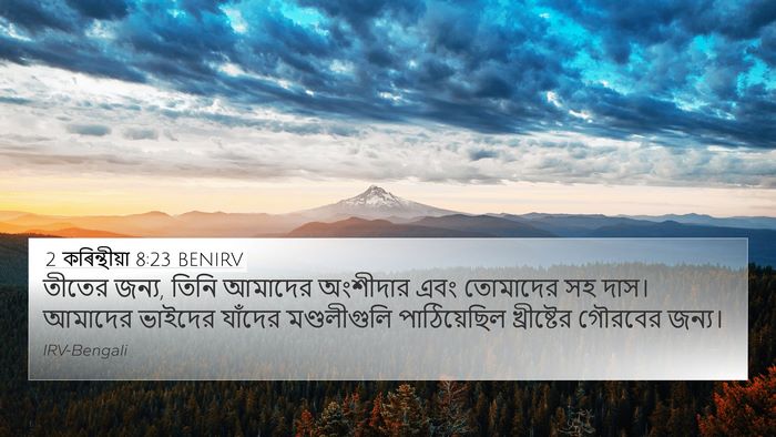 2 কৰিন্থীয়া 8:23 BENIRV Bible Verse Image