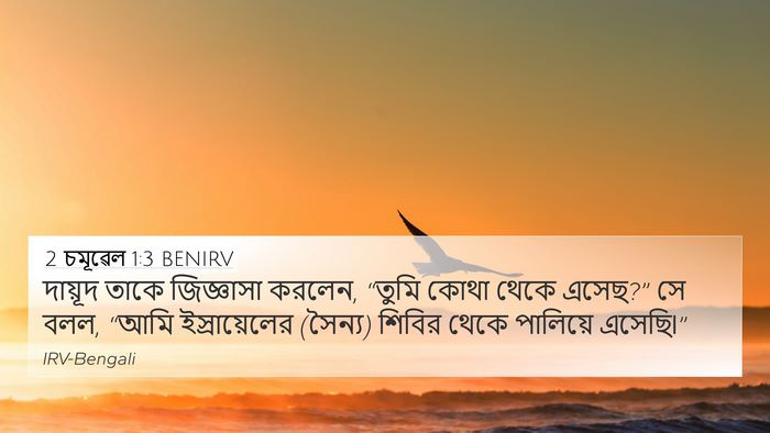 2 চমূৱেল 1:3 BENIRV Bible Verse Image