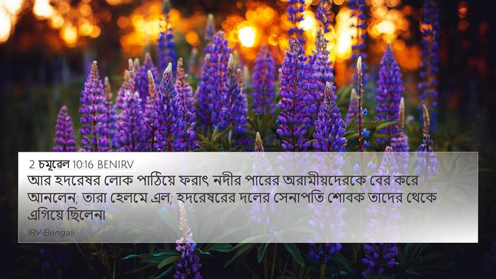 2 চমূৱেল 10:16 BENIRV Bible Verse Image