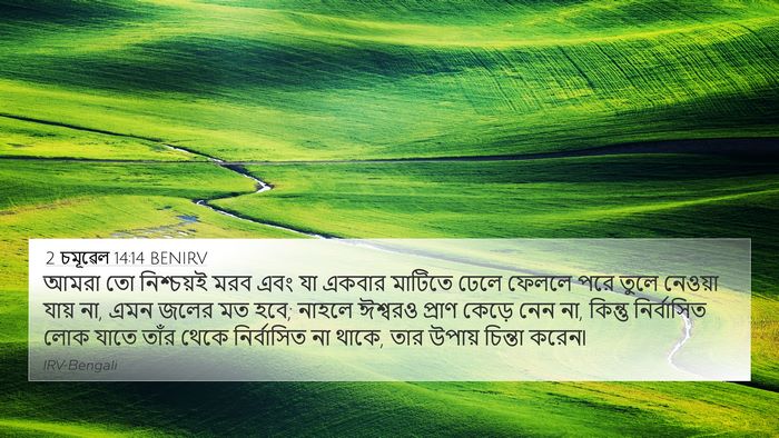 2 চমূৱেল 14:14 BENIRV Bible Verse Image