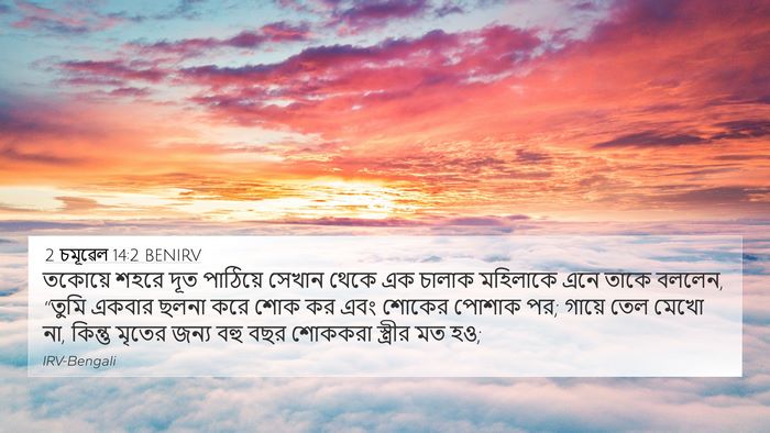 2 চমূৱেল 14:2 BENIRV Bible Verse Image