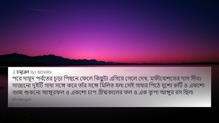 2 চমূৱেল 16:1 BENIRV Bible Verse Image
