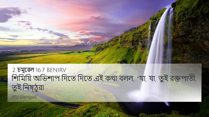 2 চমূৱেল 16:7 BENIRV Bible Verse Image