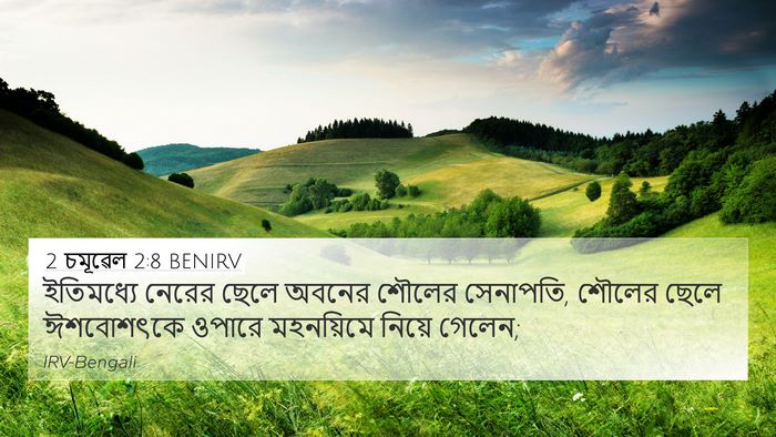 2 চমূৱেল 2:8 BENIRV Bible Verse Image