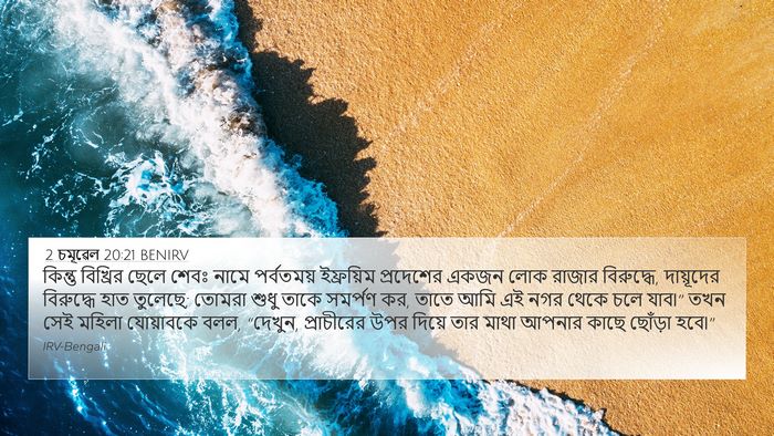 2 চমূৱেল 20:21 BENIRV Bible Verse Image