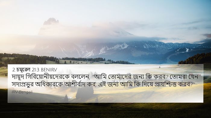 2 চমূৱেল 21:3 BENIRV 4K Wallpaper - দায়ূদ - 4K Wallpaper Bible Verse