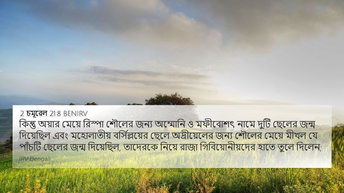 2 চমূৱেল 21:8 BENIRV Bible Verse Image