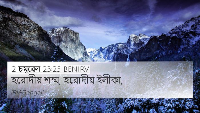 2 চমূৱেল 23:25 BENIRV 4K Wallpaper - হরোদীয় শম্ম, - 4K Wallpaper Bible Verse