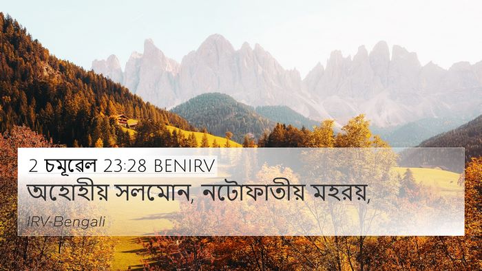 2 চমূৱেল 23:28 BENIRV 4K Wallpaper - অহোহীয় সলমোন, - 4K Wallpaper Bible Verse