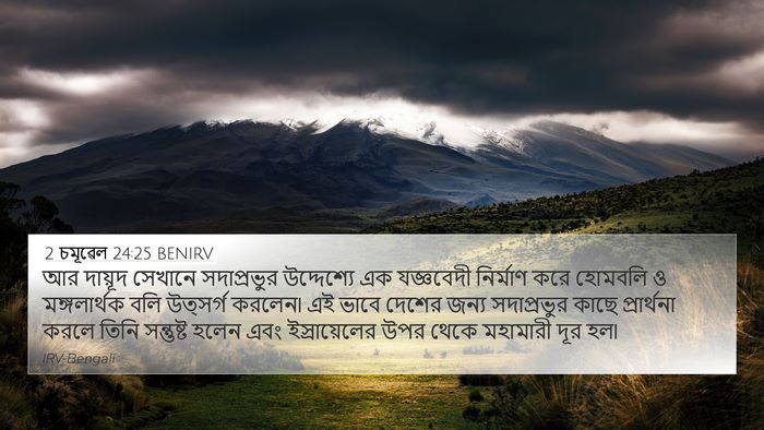 2 চমূৱেল 24:25 BENIRV Bible Verse Image