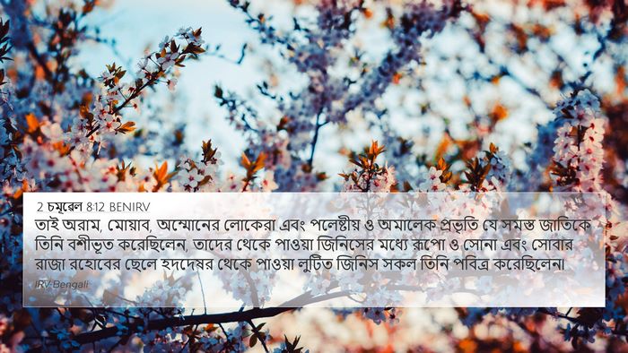 2 চমূৱেল 8:12 BENIRV Bible Verse Image
