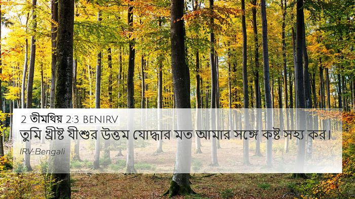 2 তীমথিয় 2:3 BENIRV Bible Verse Image