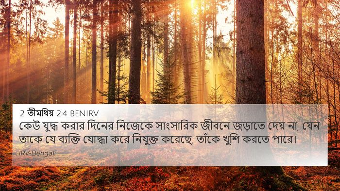 2 তীমথিয় 2:4 BENIRV Bible Verse Image