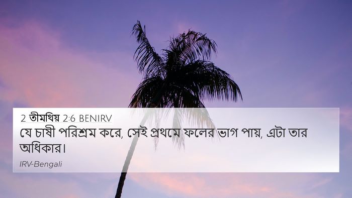 2 তীমথিয় 2:6 BENIRV Bible Verse Image