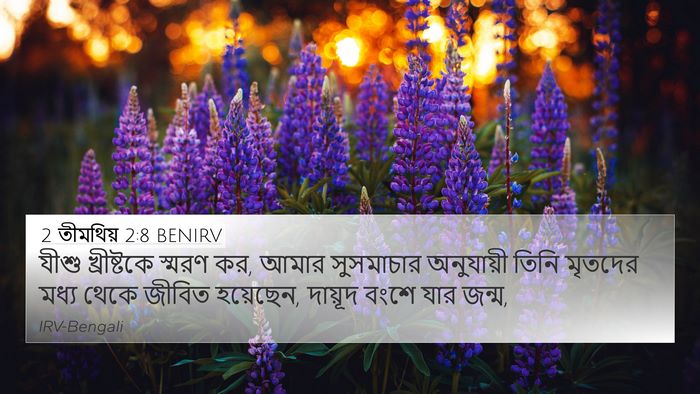 2 তীমথিয় 2:8 BENIRV 4K Wallpaper - যীশু খ্রীষ্টকে - 4K Wallpaper Bible Verse