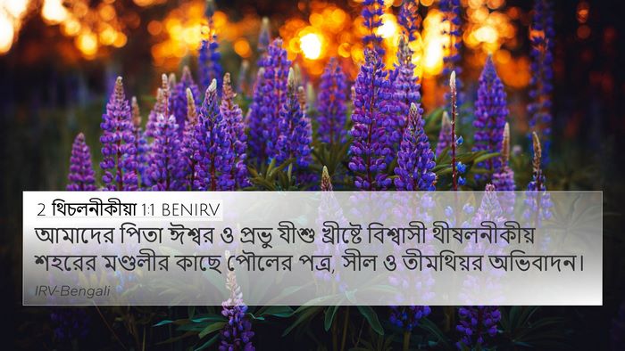 2 থিচলনীকীয়া 1:1 BENIRV Bible Verse Image