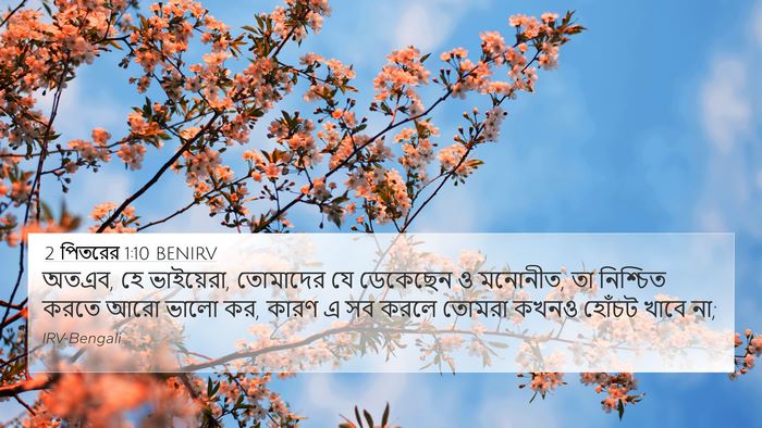 2 পিতরের 1:10 BENIRV Bible Verse Image