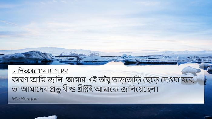 2 পিতরের 1:14 BENIRV Bible Verse Image