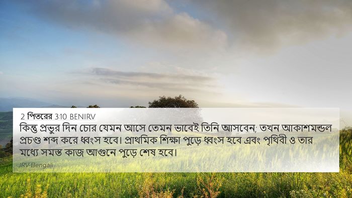 2 পিতরের 3:10 BENIRV Bible Verse Image