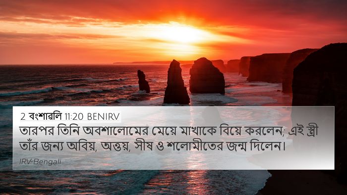 2 বংশাৱলি 11:20 BENIRV Bible Verse Image