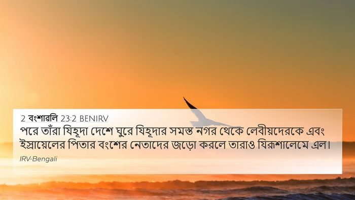 2 বংশাৱলি 23:2 BENIRV Bible Verse Image