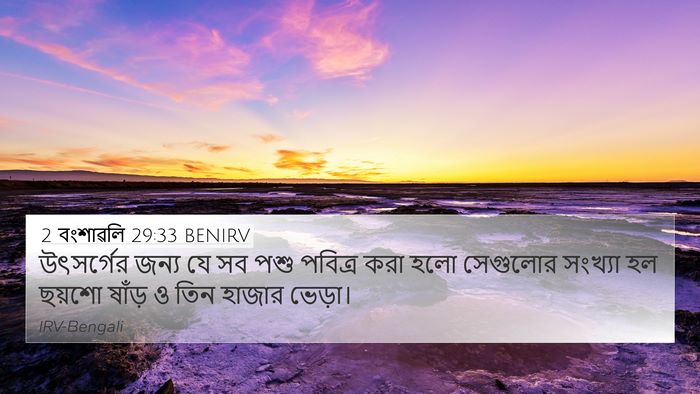 2 বংশাৱলি 29:33 BENIRV 4K Wallpaper - উৎসর্গের জন্য যে - 4K Wallpaper Bible Verse