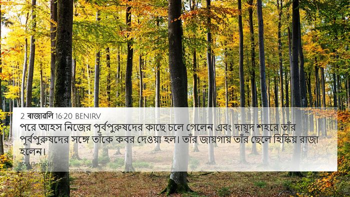 2 ৰাজাৱলি 16:20 BENIRV Bible Verse Image