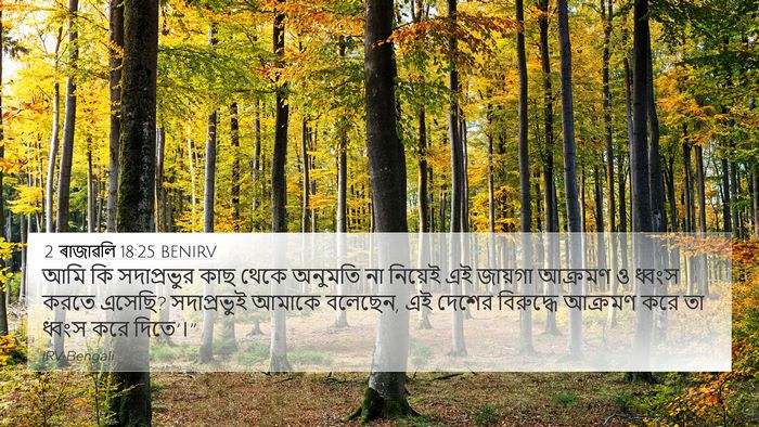 2 ৰাজাৱলি 18:25 BENIRV Bible Verse Image