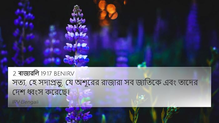 2 ৰাজাৱলি 19:17 BENIRV Bible Verse Image