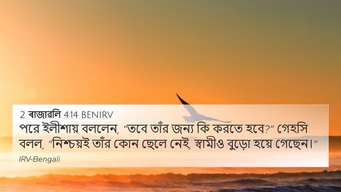 2 ৰাজাৱলি 4:14 BENIRV 4K Wallpaper - পরে ইলীশায় বললেন, - 4K Wallpaper Bible Verse
