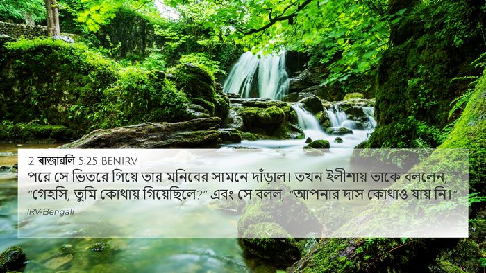 2 ৰাজাৱলি 5:25 BENIRV Bible Verse Image