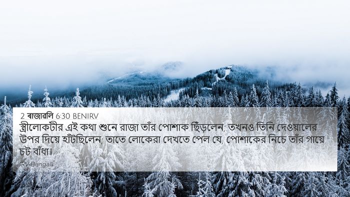 2 ৰাজাৱলি 6:30 BENIRV Bible Verse Image
