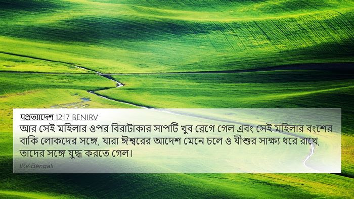 पপ্রত্যাদেশ 12:17 BENIRV Bible Verse Image