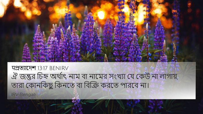 पপ্রত্যাদেশ 13:17 BENIRV Bible Verse Image