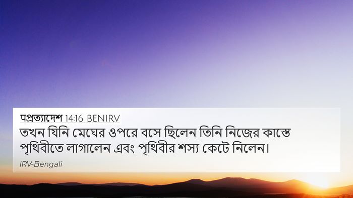 पপ্রত্যাদেশ 14:16 BENIRV 4K Wallpaper - তখন যিনি মেঘের - 4K Wallpaper Bible Verse