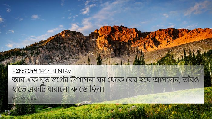 पপ্রত্যাদেশ 14:17 BENIRV 4K Wallpaper - আর এক দূত স্বর্গের - 4K Wallpaper Bible Verse