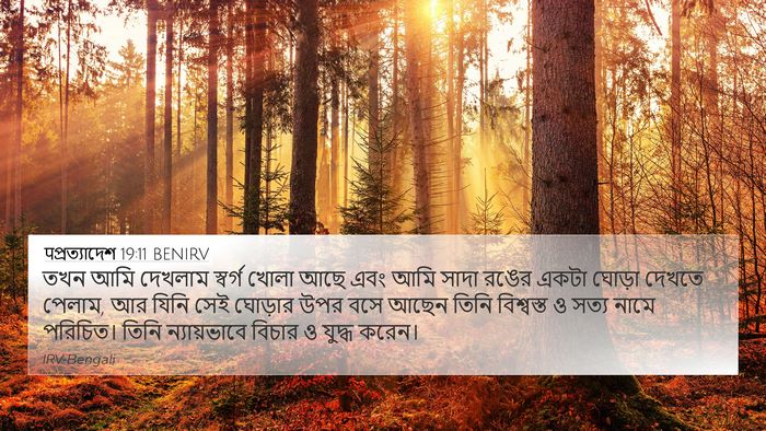 पপ্রত্যাদেশ 19:11 BENIRV Bible Verse Image