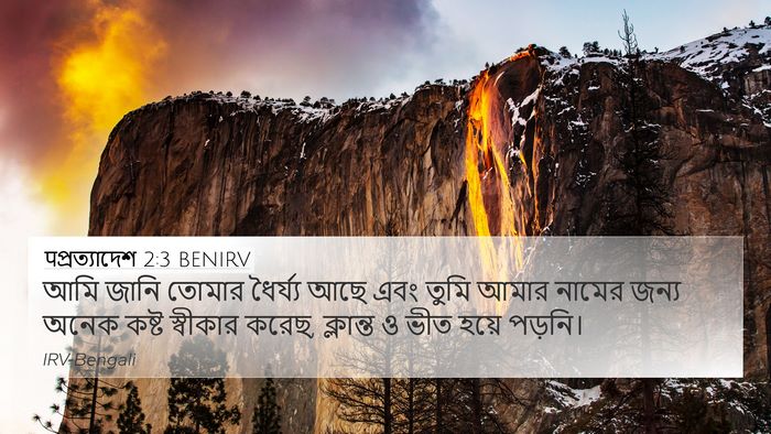 पপ্রত্যাদেশ 2:3 BENIRV Bible Verse Image